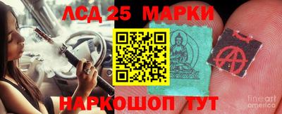 сатива Новозыбков