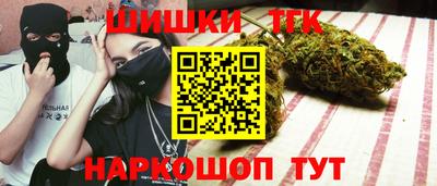 сатива Новозыбков