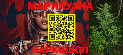 сатива Новозыбков