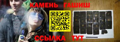сатива Новозыбков