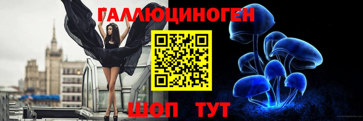 Псилоцибиновые грибы GOLDEN TEACHER  Псилоцибиновые грибы прущие грибы  закладка  Вход с VPN  Черняховск 